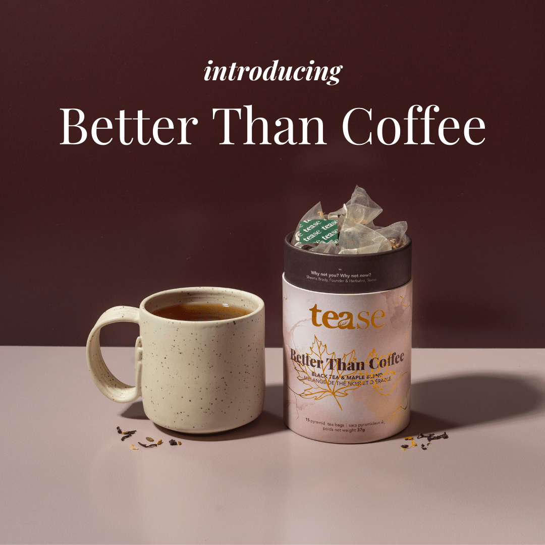 Better Than Coffee Maple Vanilla Black Tea by Tease - Ember Boutique