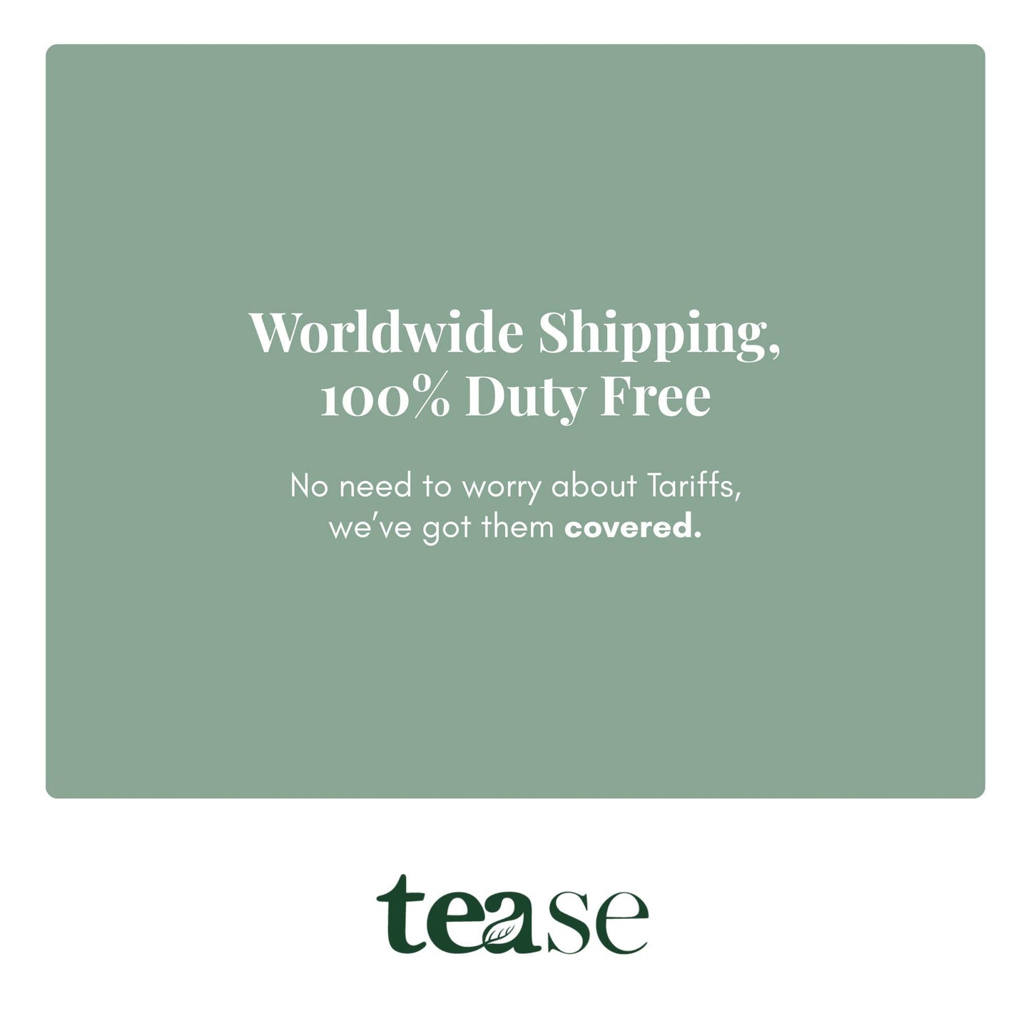 Better Than Coffee Maple Vanilla Black Tea by Tease - Ember Boutique