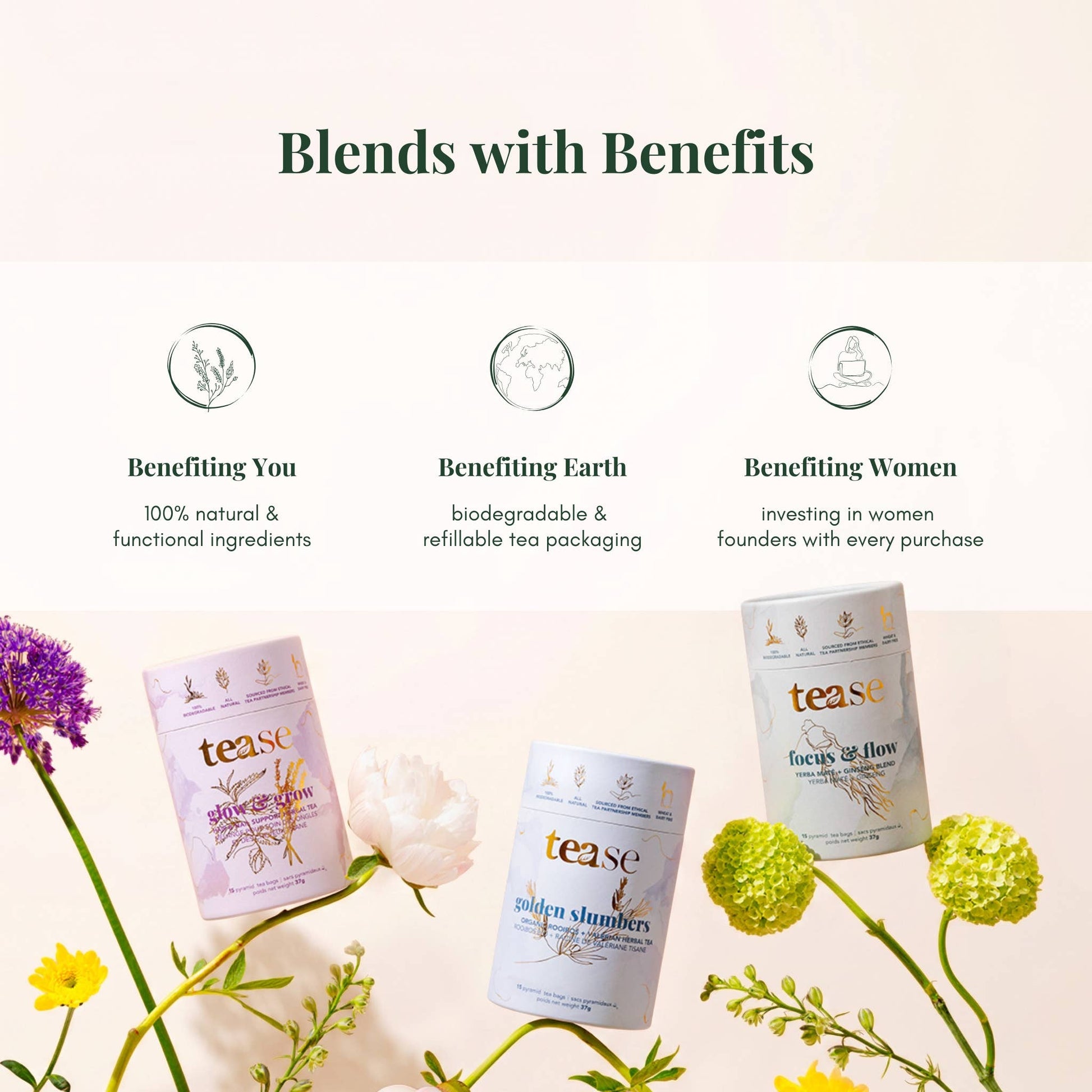 Chill Out Cherry Ashwagandha Tea by Tease - Ember Boutique